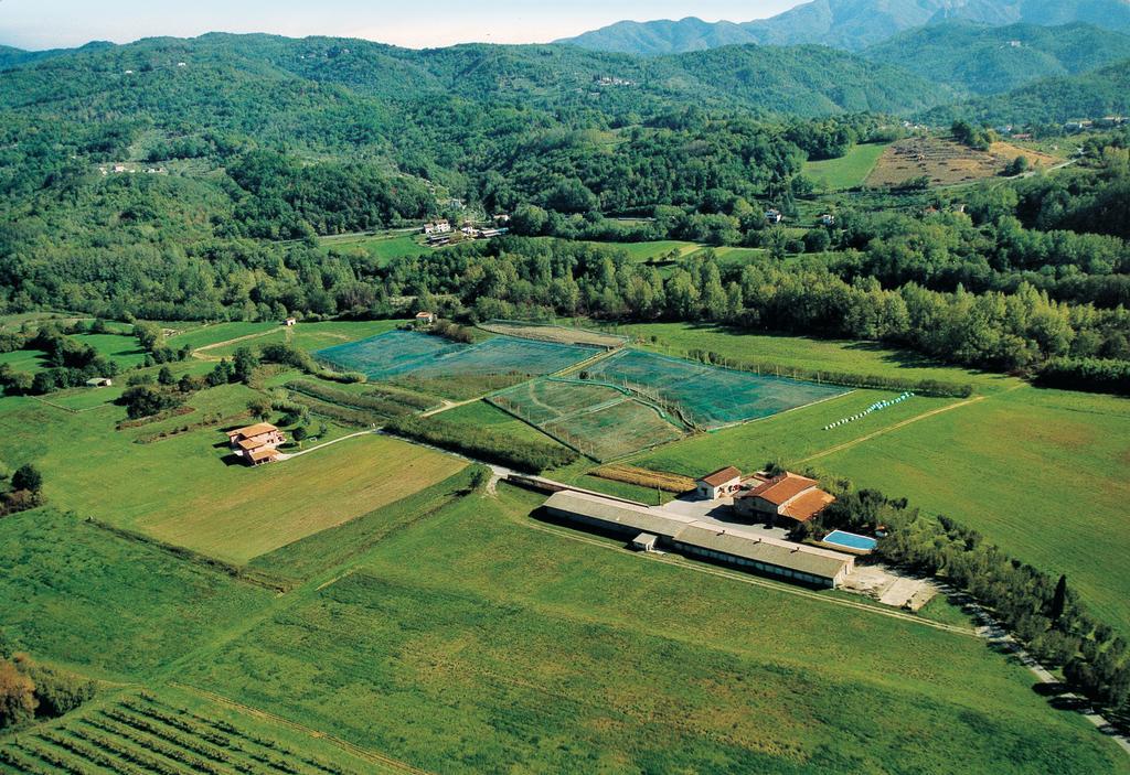 Agriturismo La Praduscella Fivizzano Bagian luar foto